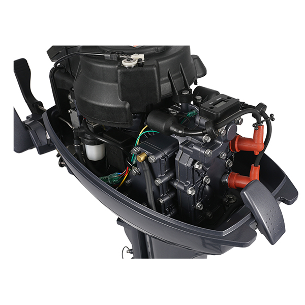 ЛОДОЧНЫЙ МОТОР ALLFA CG Т9,9 в Нижневартовске