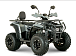 Квадроцикл YACOTA DRAGON LUX LD 150 PRO-SPORT в Нижневартовске