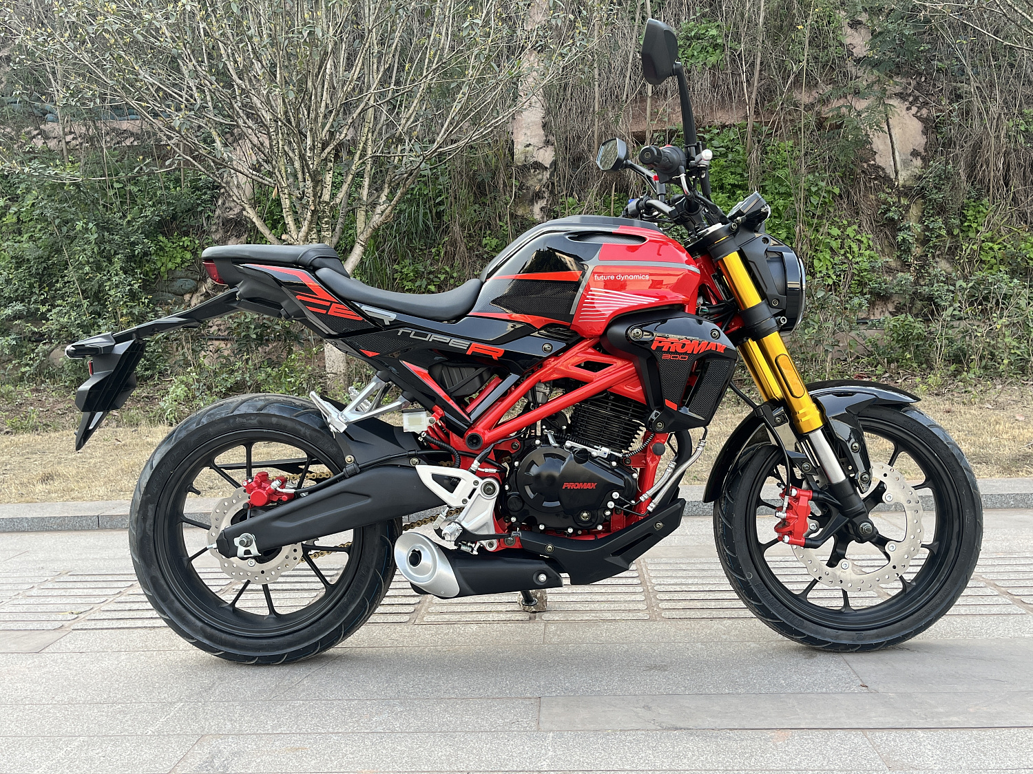 Мотоцикл PROMAX CB300 в Нижневартовске