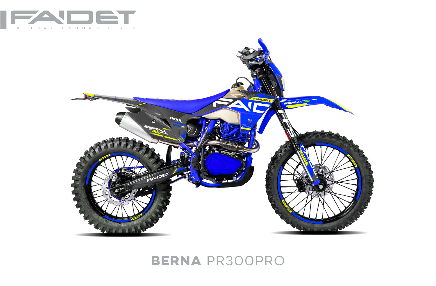 Кроссовый мотоцикл FAIDET BERNA PR300-PRO FPS в Нижневартовске