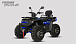 Квадроцикл PROMAX TAURUS 300 MAX-PRO LONG в Нижневартовске
