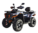 Квадроцикл MOTOLAND (МОТОЛЕНД) 300 MAX X в Нижневартовске