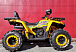 Квадроцикл PROMAX STORM 280 LUX в Нижневартовске