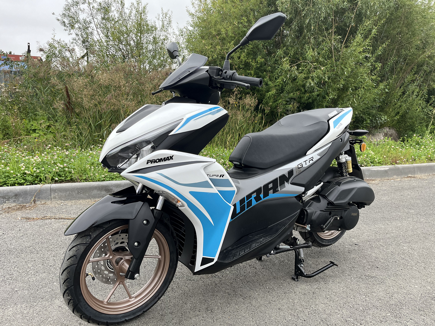 Скутер PROMAX TURAN 250 (49) в Нижневартовске