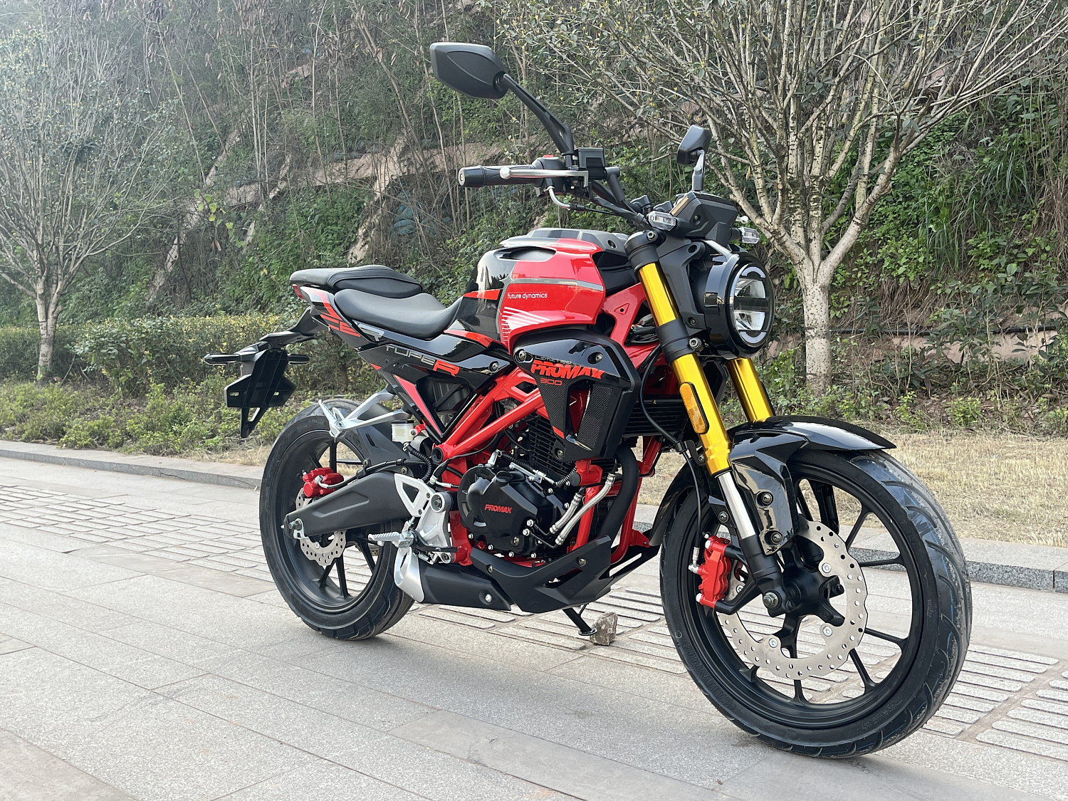 Мотоцикл PROMAX CB300 в Нижневартовске