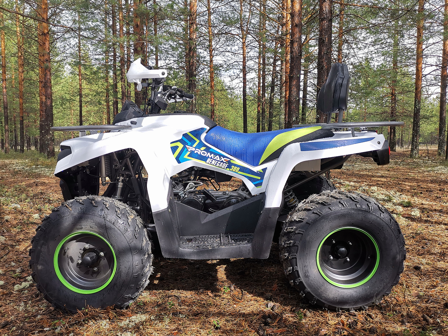 Квадроцикл PROMAX RENEGADE 280 (2025) в Нижневартовске