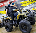 Квадроцикл PROMAX ATV 250 (2025) в Нижневартовске