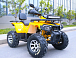 Квадроцикл MOTOLAND (МОТОЛЕНД) VOX200 WILD TRACK X PRO (баланс. вал) в Нижневартовске