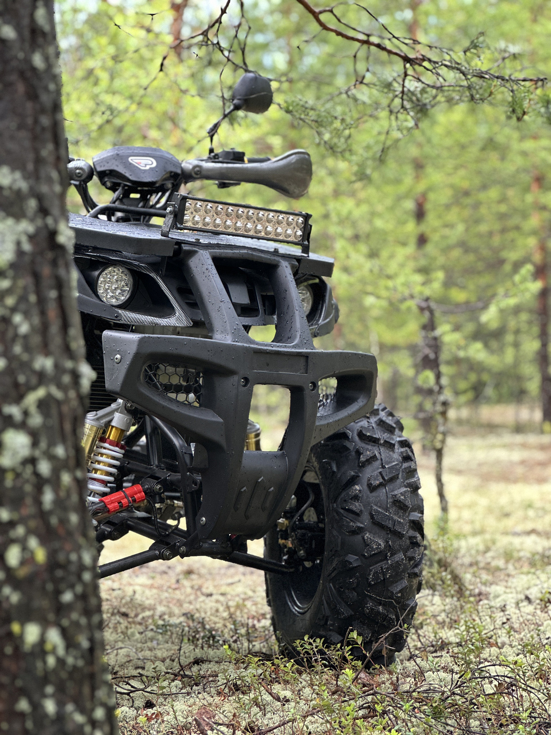 Квадроцикл PROMAX 320 DOMINATOR PRO (2025) в Нижневартовске
