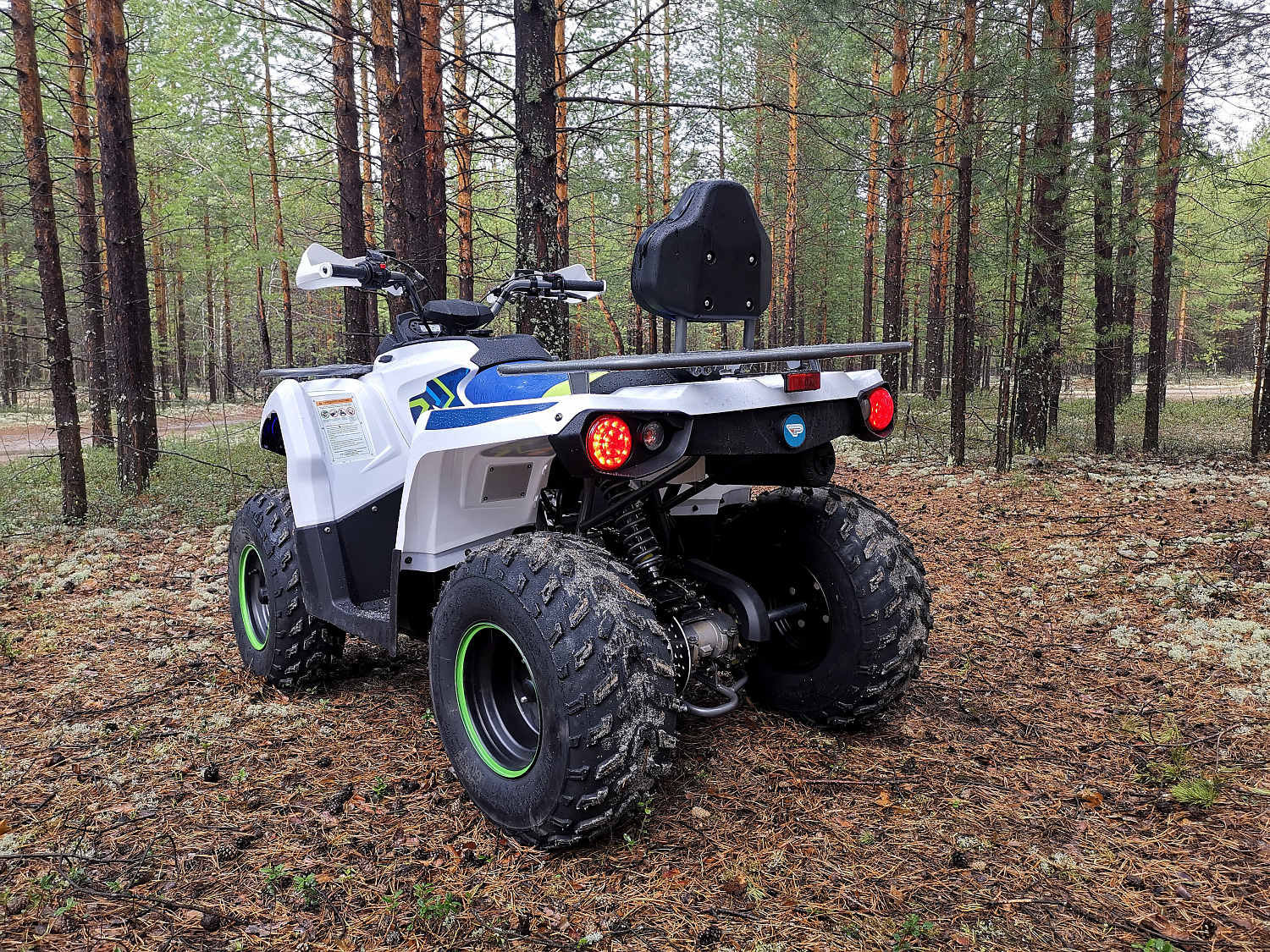 Квадроцикл PROMAX RENEGADE 280 (2025) в Нижневартовске