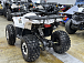 Квадроцикл PROMAX WILD 2.0 190 LUX в Нижневартовске