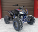 Квадроцикл PROMAX RAPTOR 300 NEW RedBull в Нижневартовске