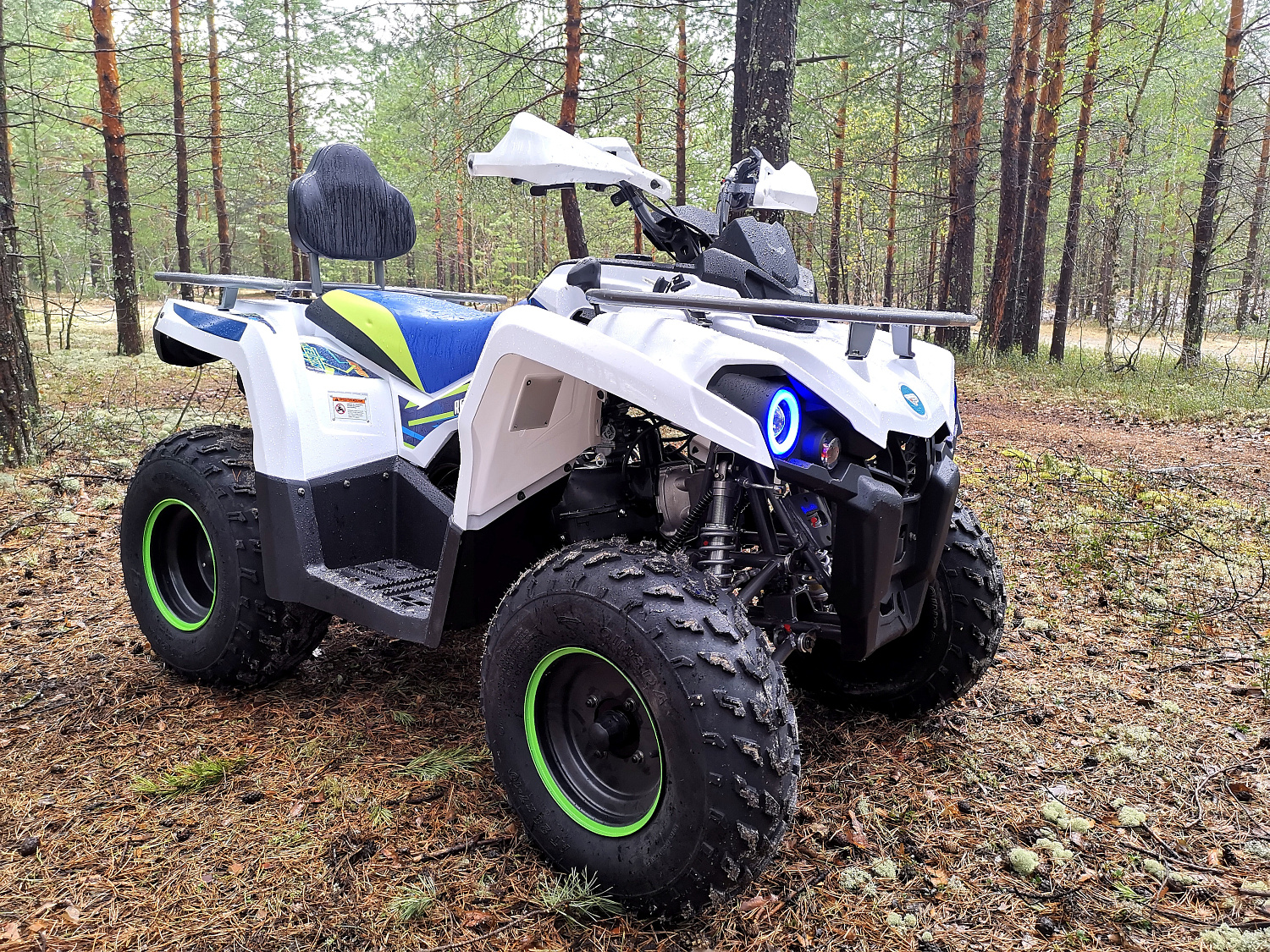 Квадроцикл PROMAX RENEGADE 280 (2025) в Нижневартовске