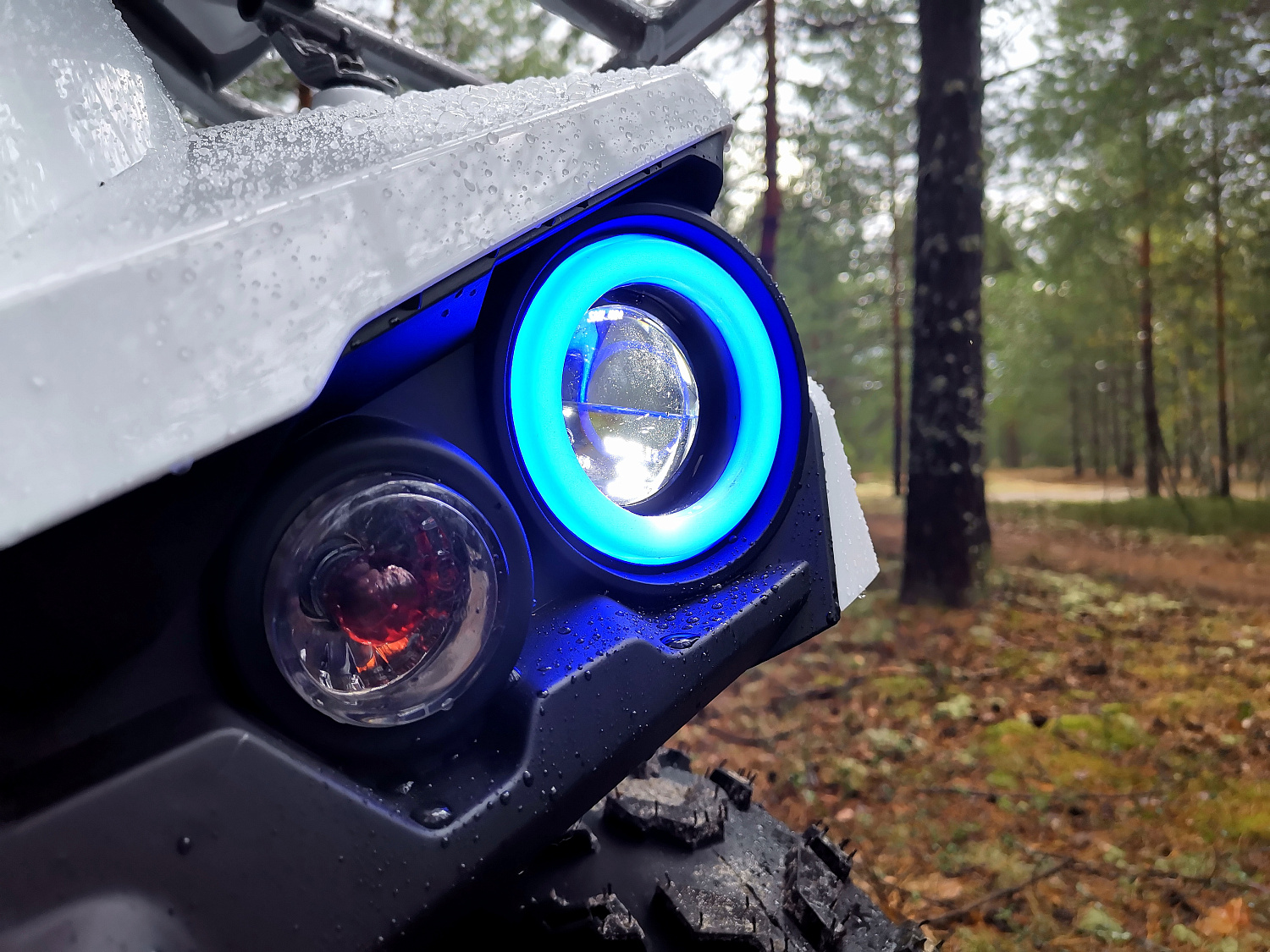 Квадроцикл PROMAX RENEGADE 280 (2025) в Нижневартовске